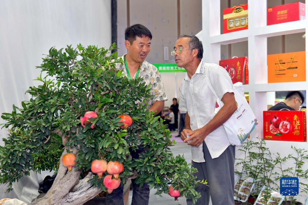 威尼斯老品牌值得信赖